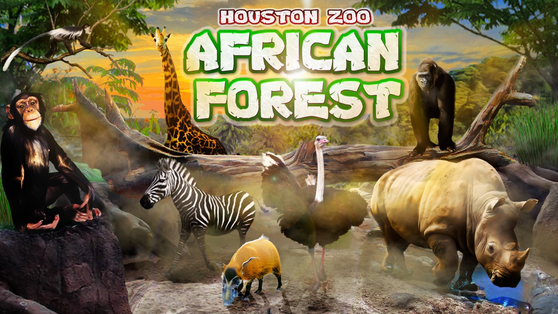 Houston Zoo's African Forest Promo Art