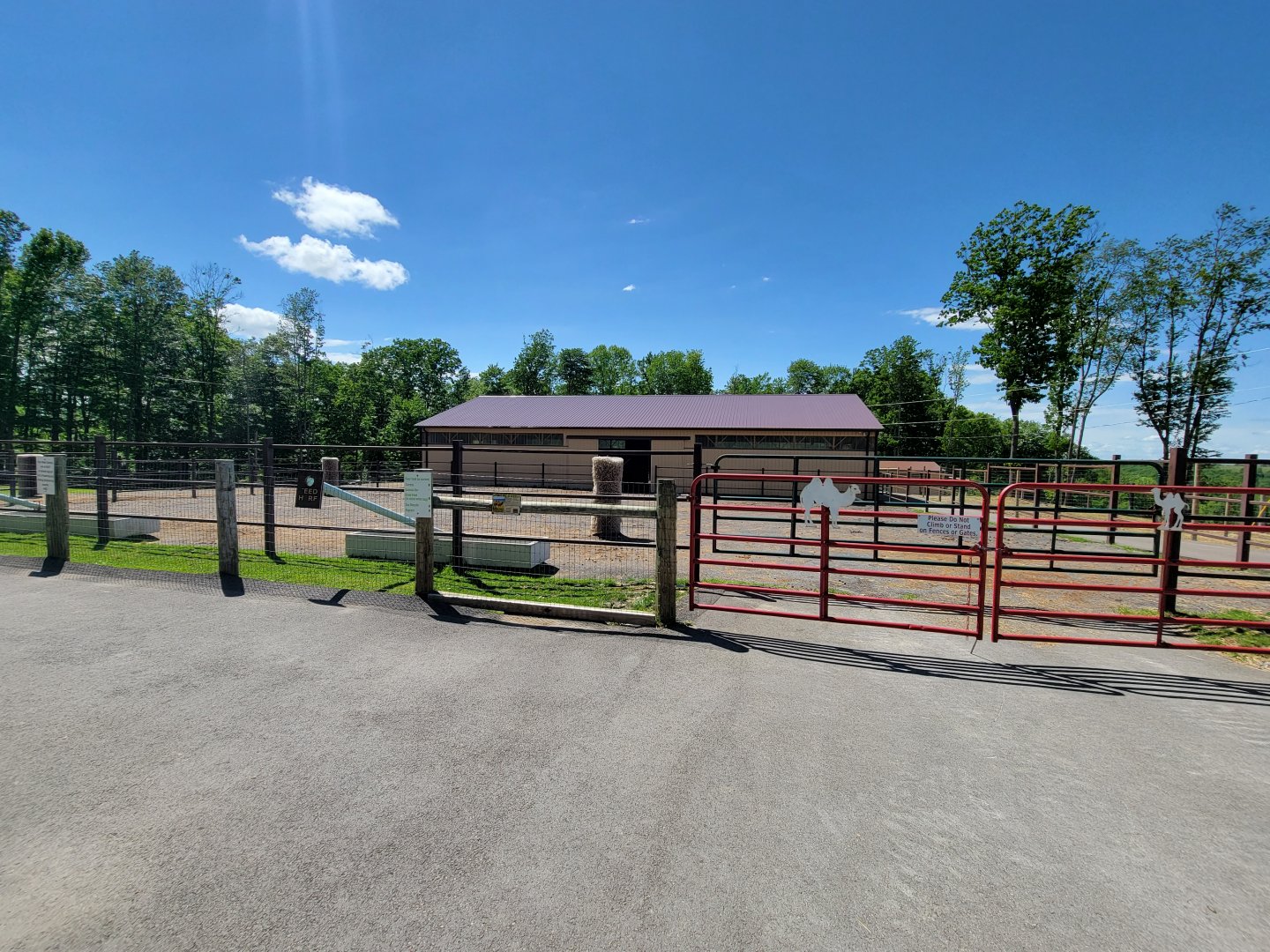 Hovatter's - Bactrian and dromedary camels