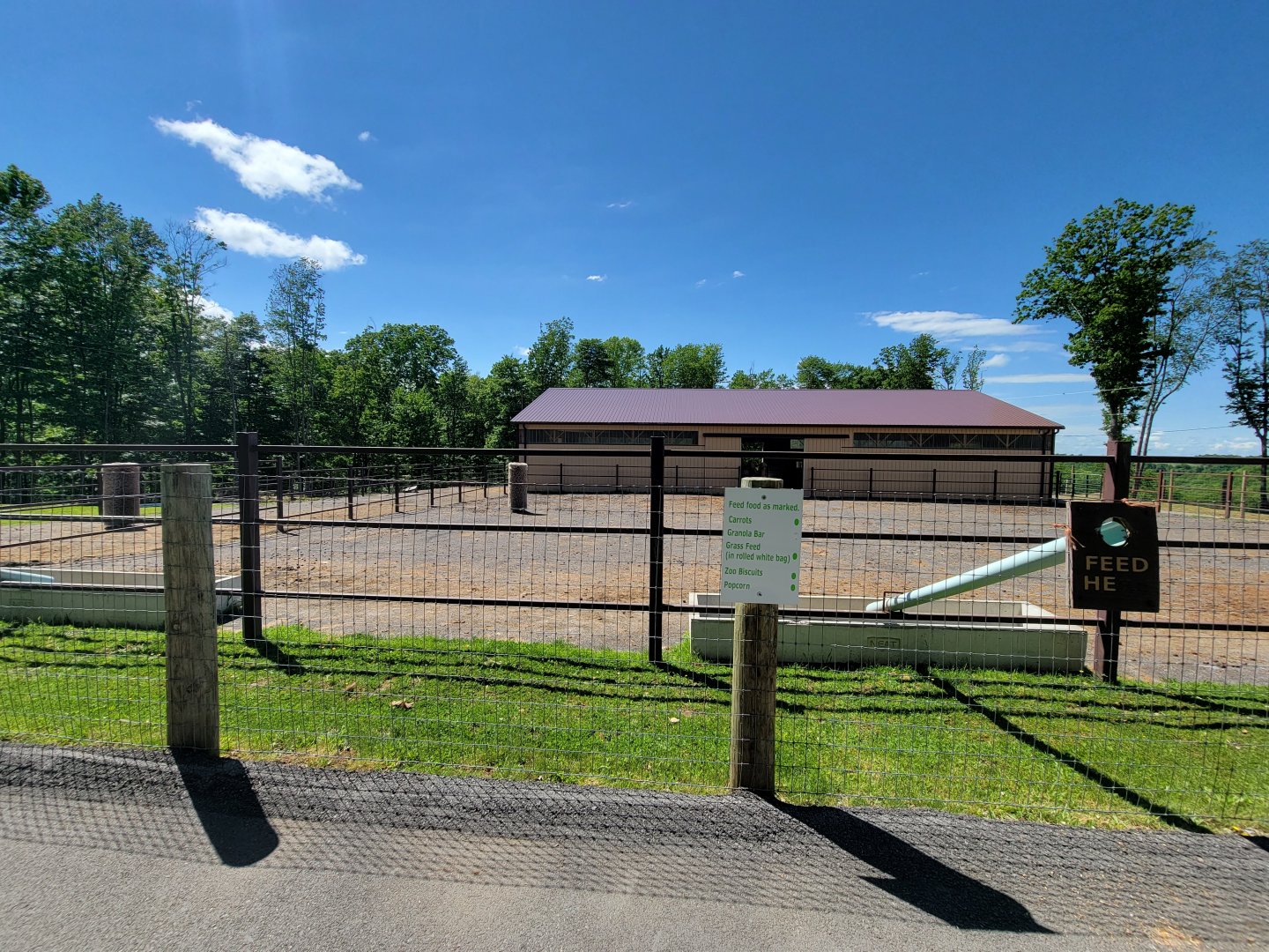 Hovatter's - Bactrian and dromedary camels