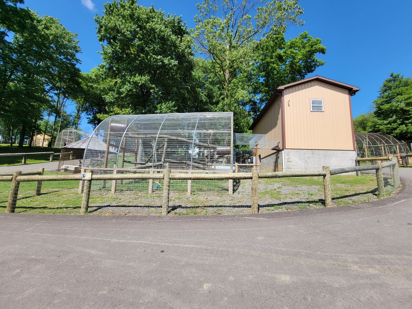 Hovatter's - Binturong