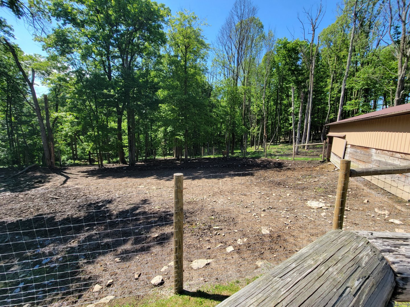 Hovatter's - Cattle yard