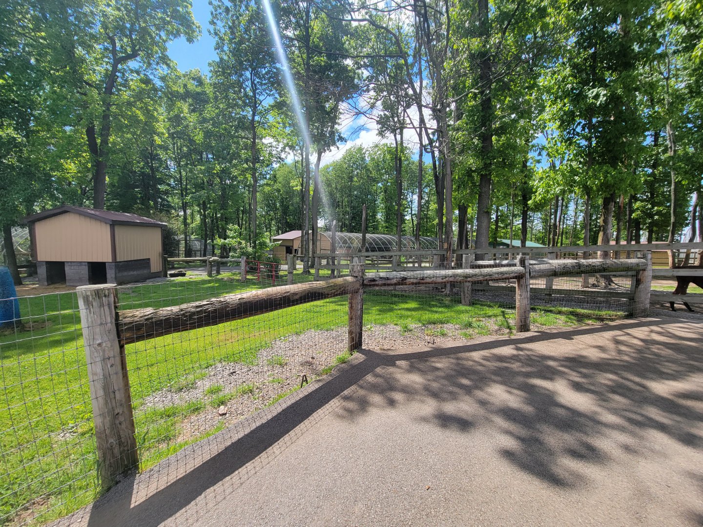 Hovatter's - Corner of goat yard