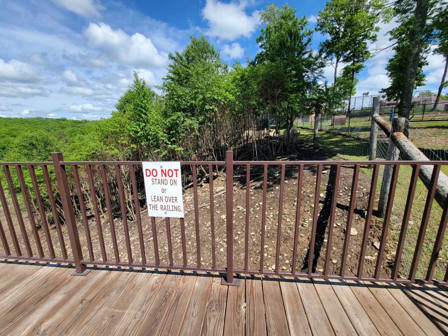 Hovatter's - Elk, white bison