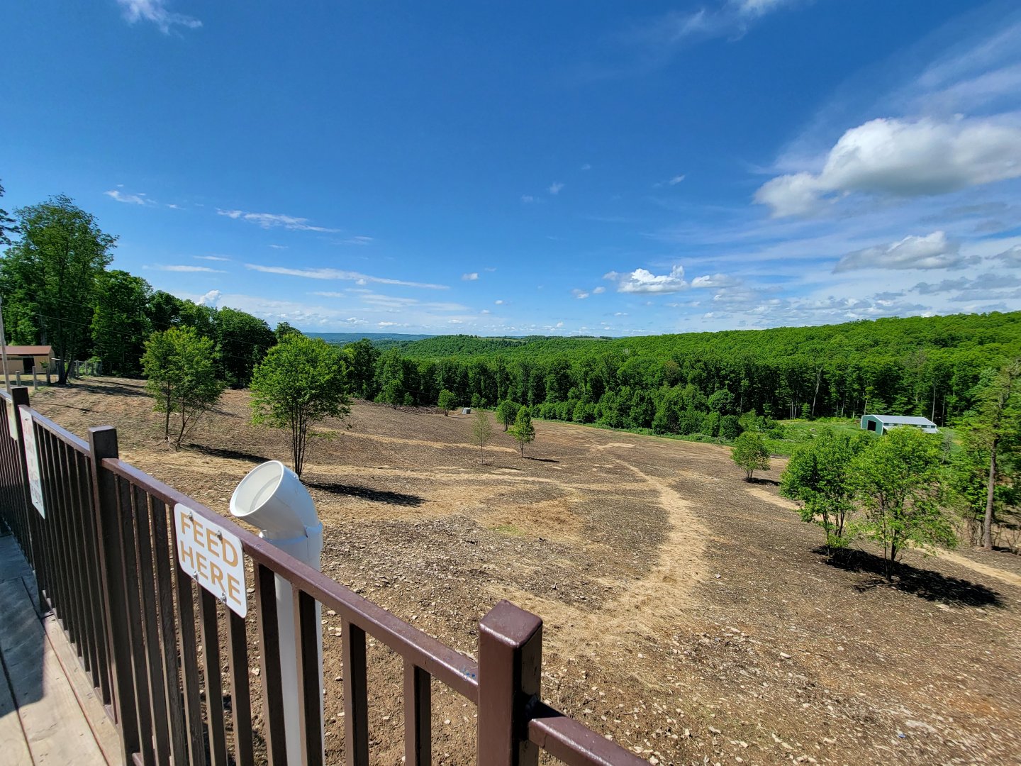 Hovatter's - Elk, white bison