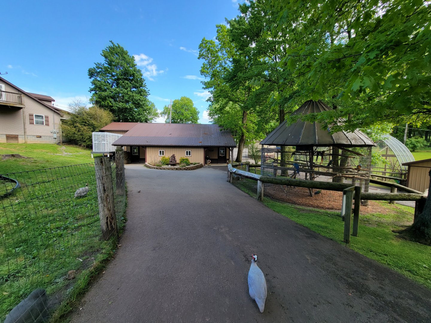 Hovatter's - Entrance/exit/gift shop