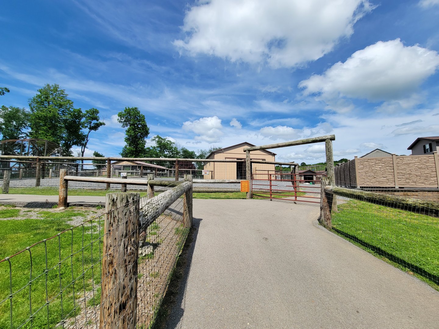 Hovatter's - Giraffes