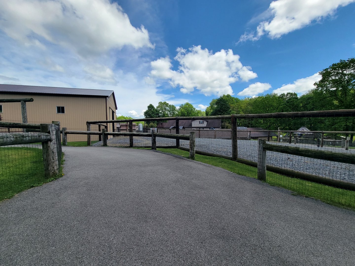 Hovatter's - Giraffes