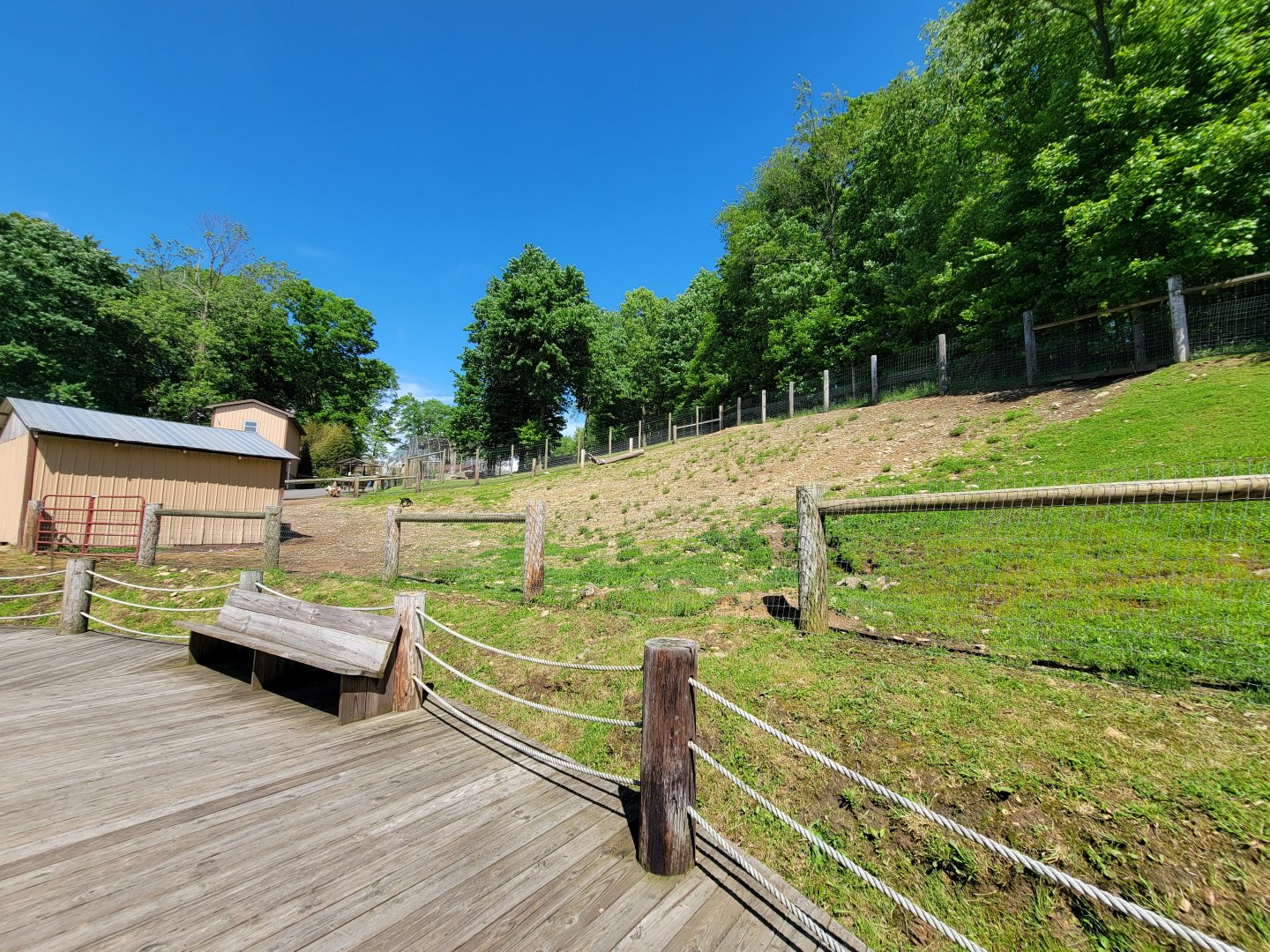 Hovatter's - Goat yard