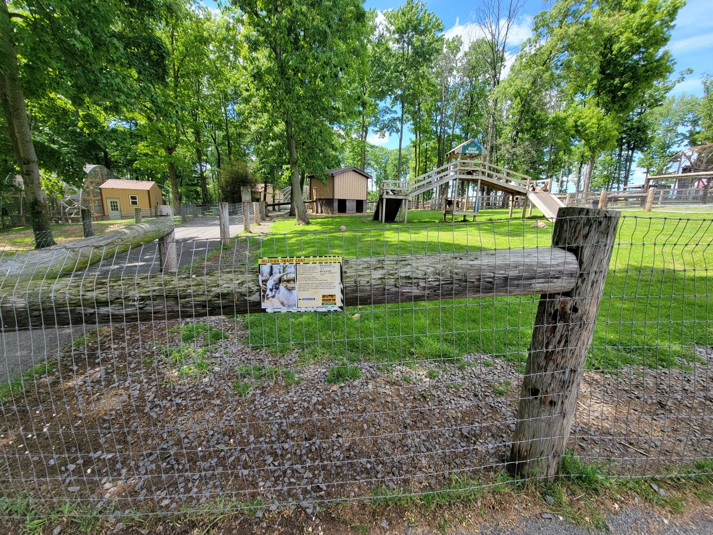 Hovatter's - Goats & tortoises