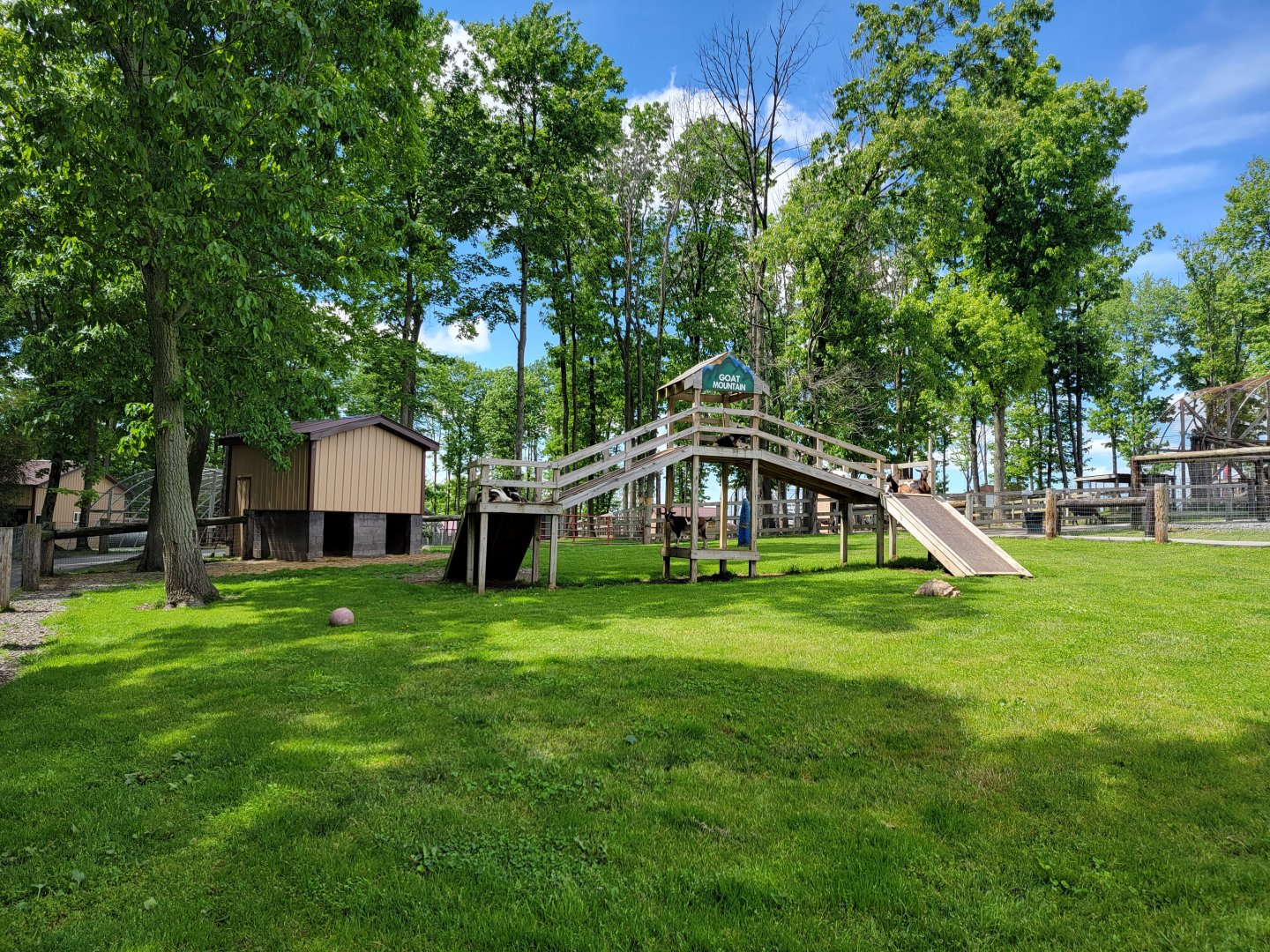 Hovatter's - Goats & tortoises