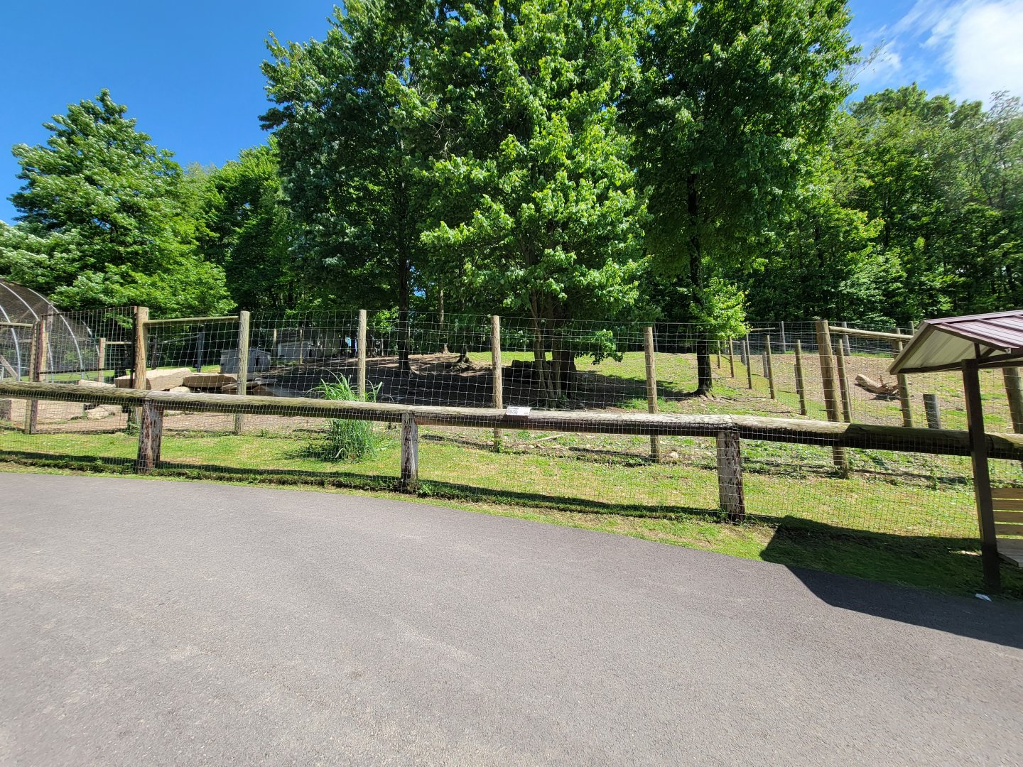 Hovatter's - Gray wolves