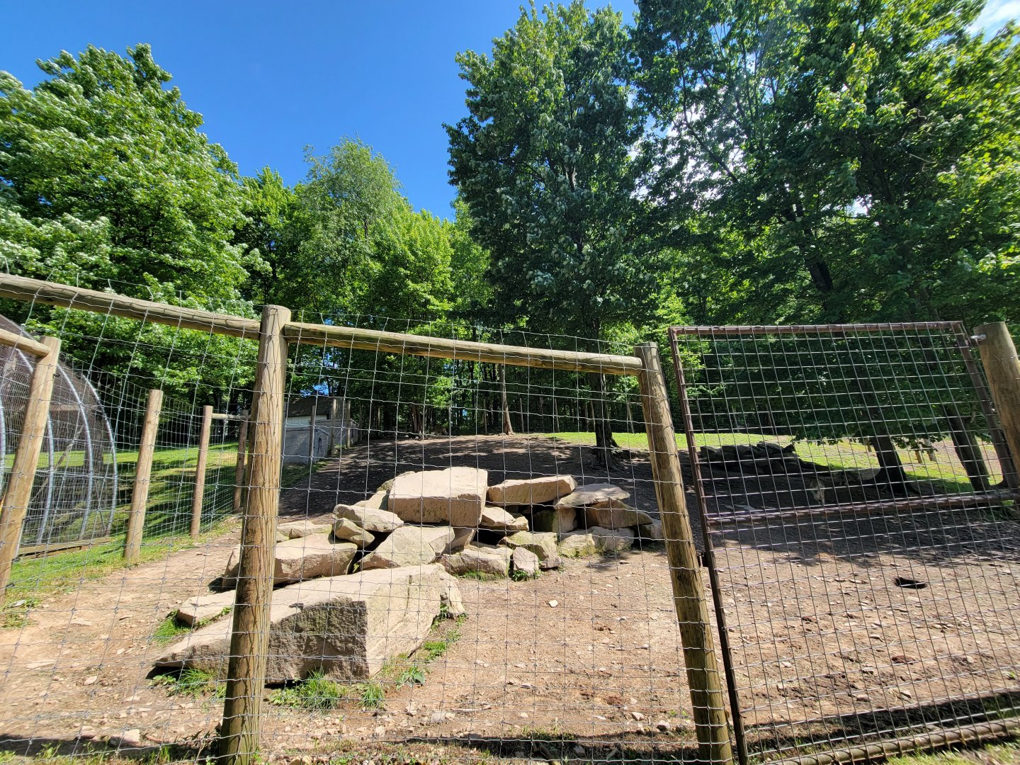 Hovatter's - Gray wolves