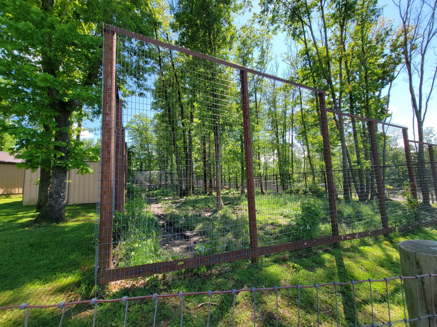 Hovatter's - Grizzly bear