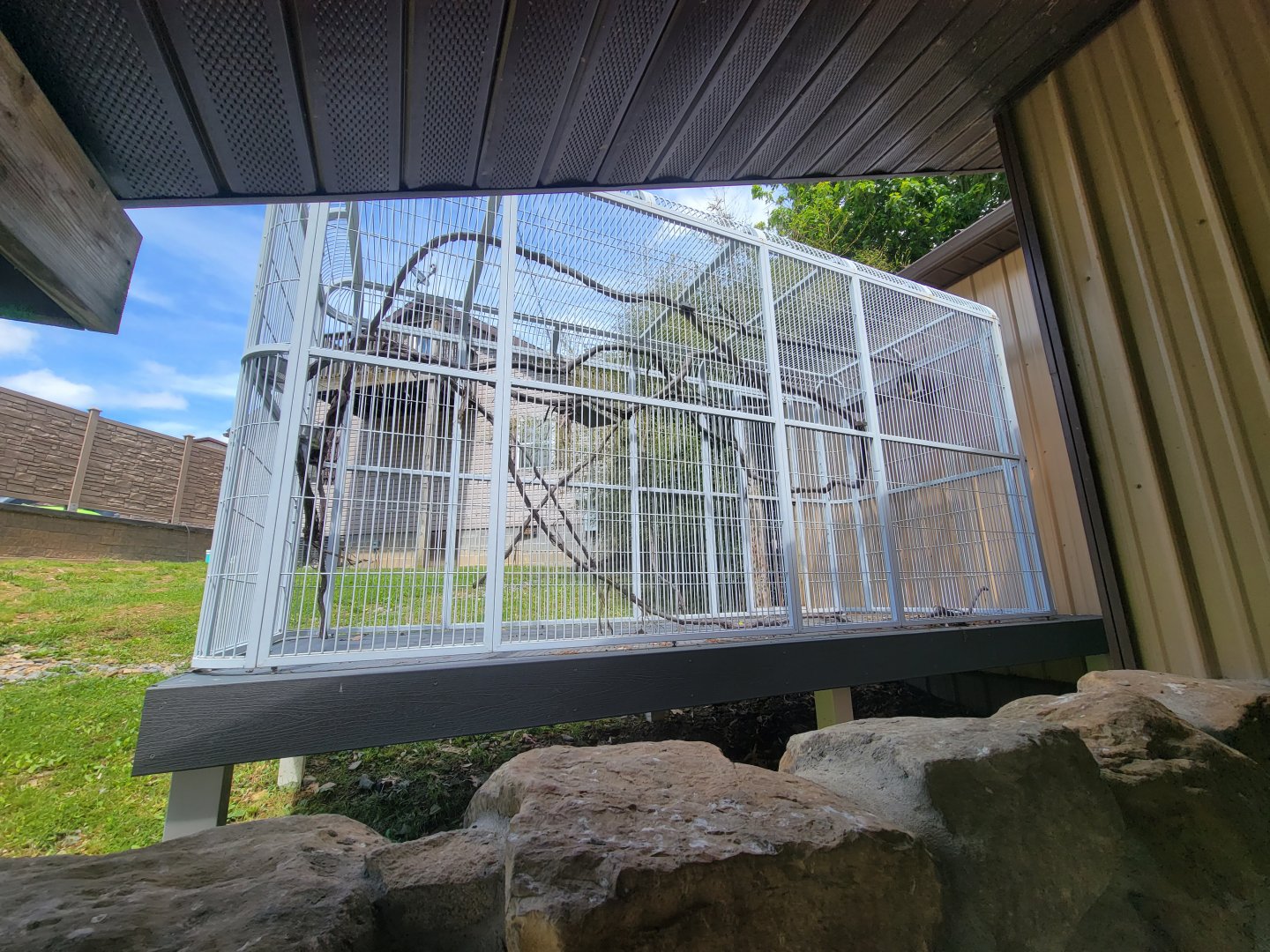 Hovatter's - Hoffman's sloth, squirrel monkeys outdoor area