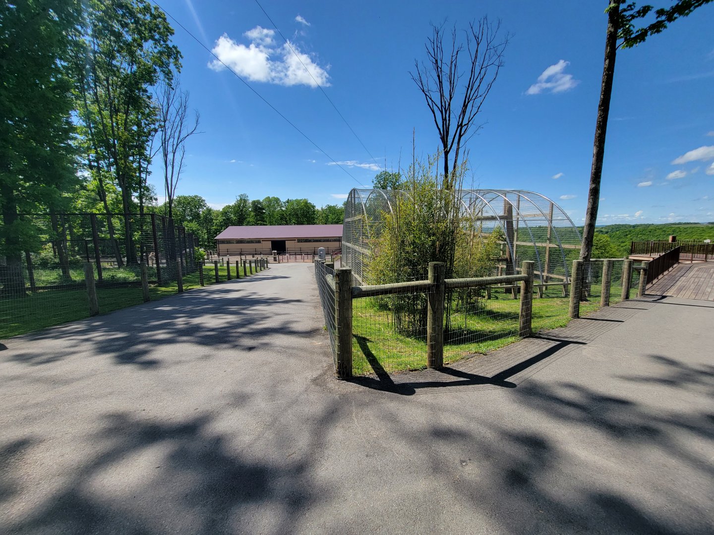 Hovatter's - Japanese macaques, right path goes to elk overlook