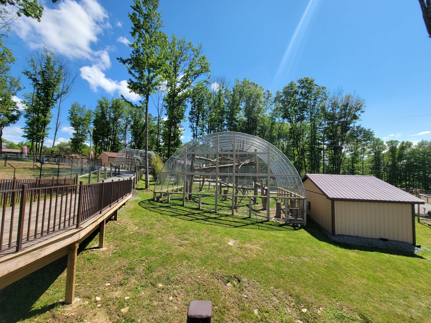 Hovatter's - Japanese macaques