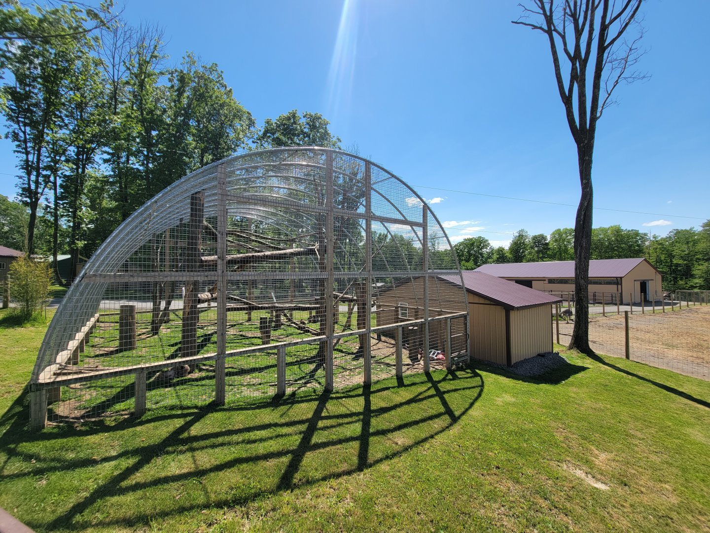 Hovatter's - Japanese macaques