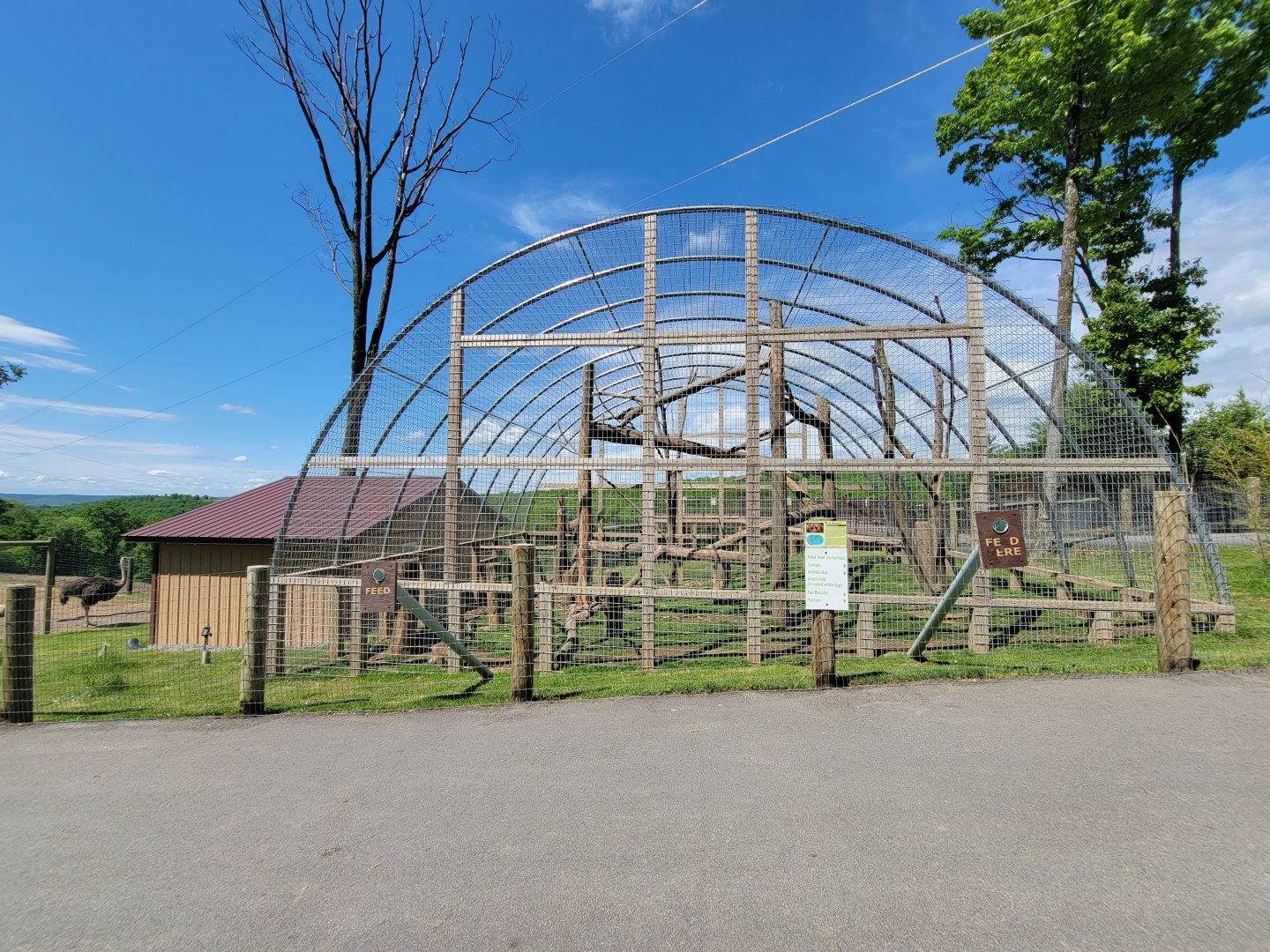 Hovatter's - Japanese macaques
