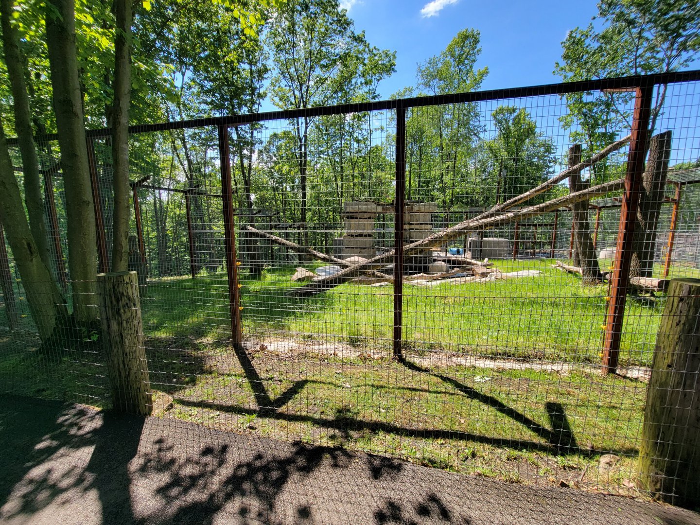 Hovatter's - Kodiak bear