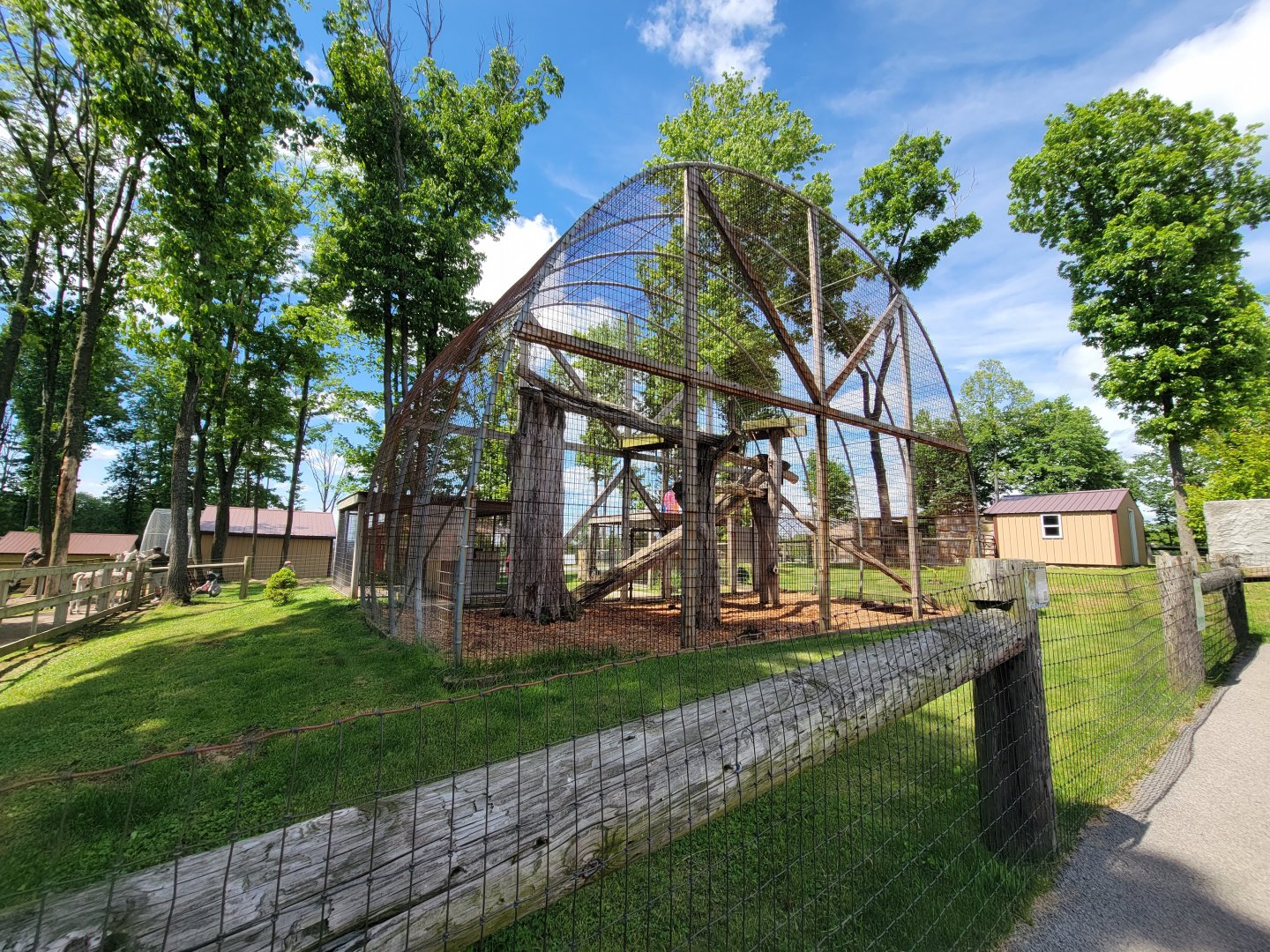 Hovatter's - Leopards