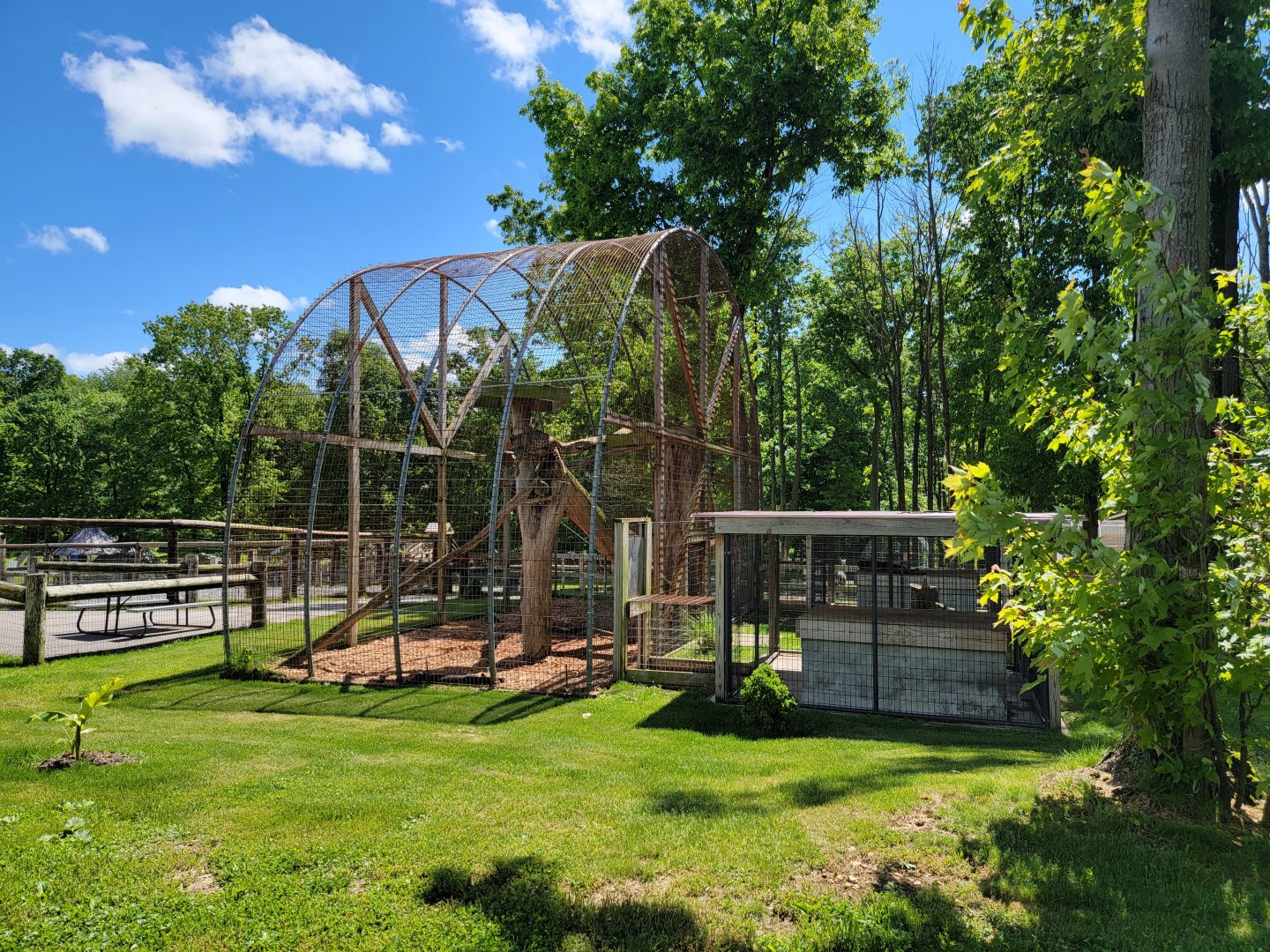 Hovatter's - Leopards