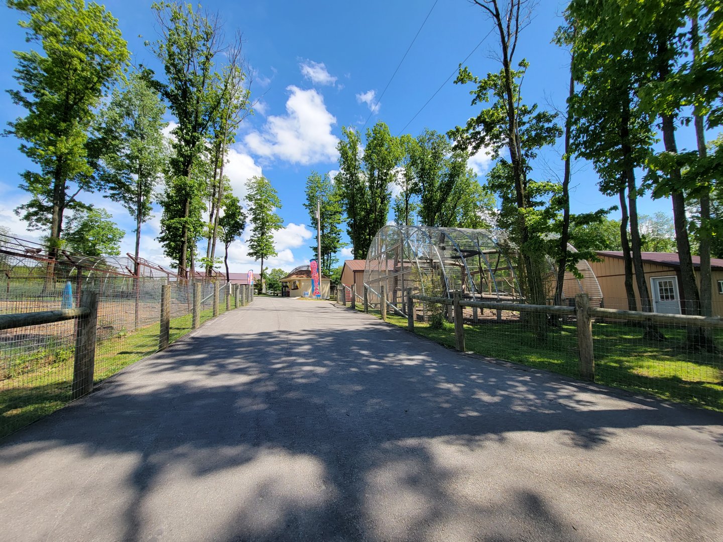 Hovatter's - Looking back to ice cream shop, lions, etc
