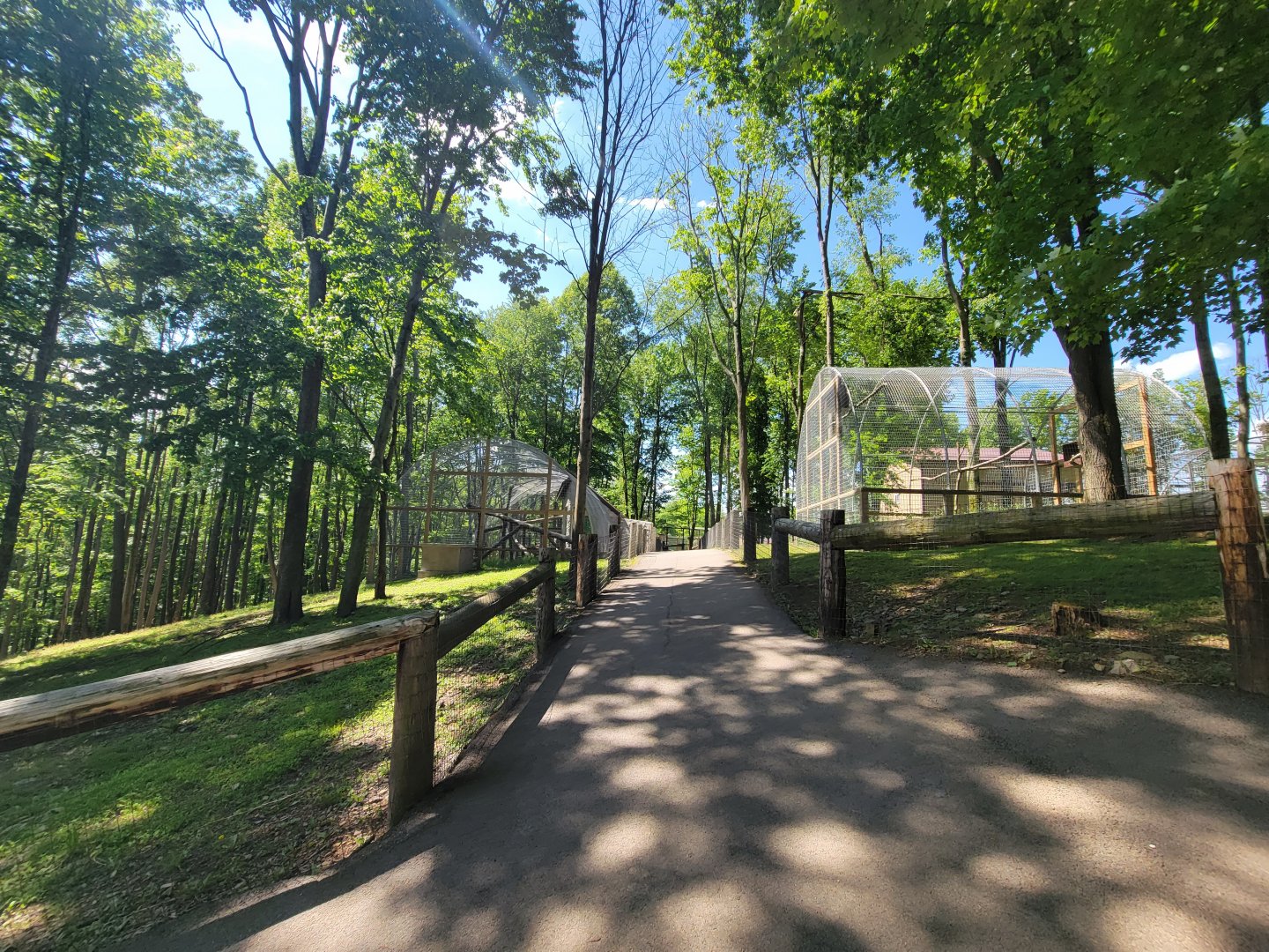 Hovatter's - Looking back