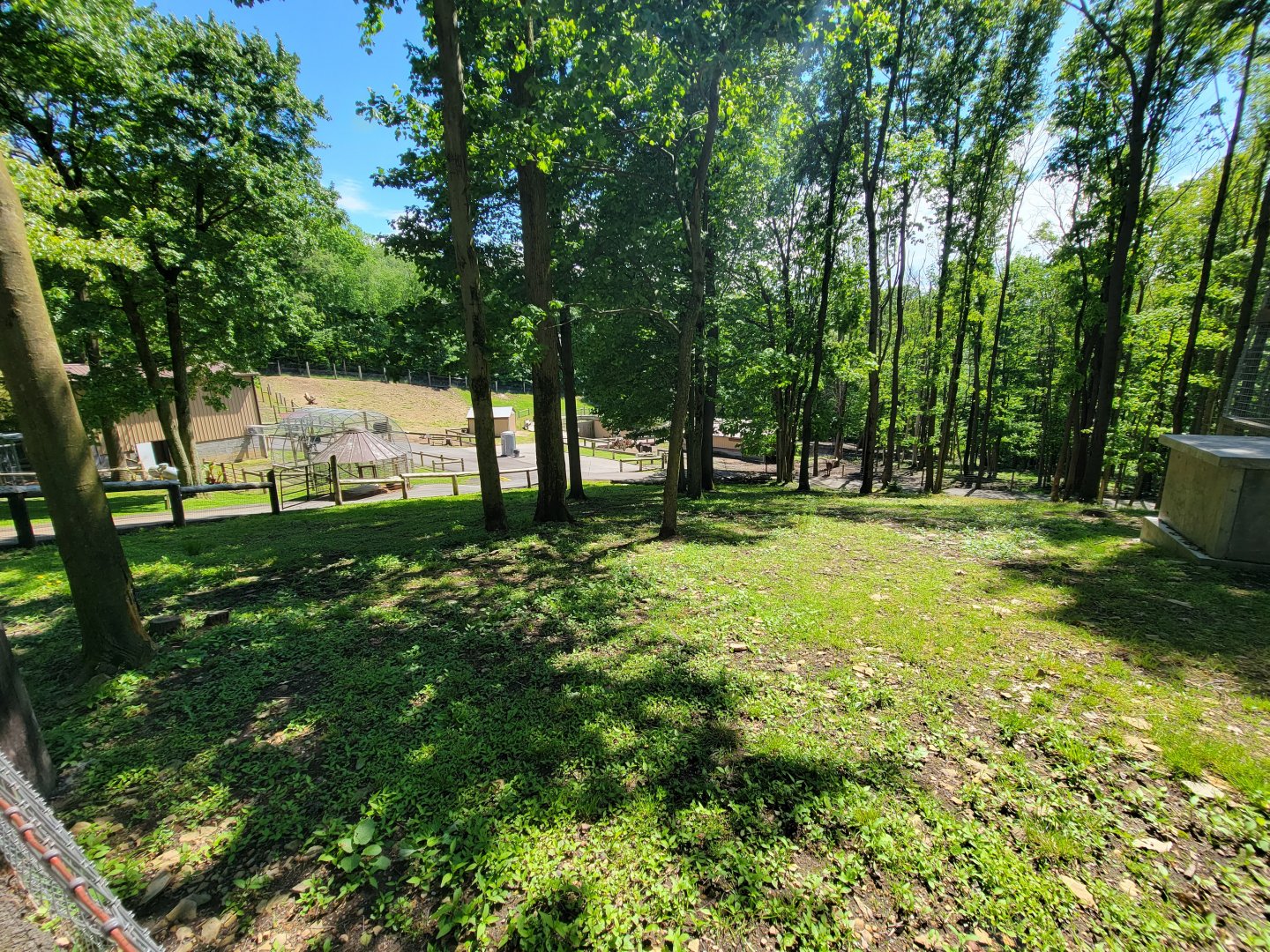 Hovatter's - Looking down on lower part of zoo