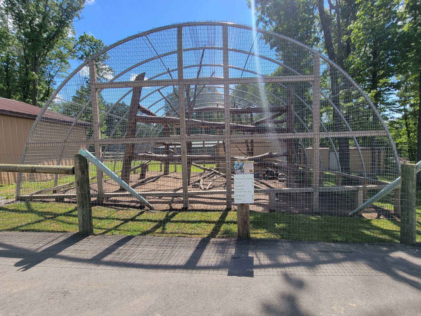 Hovatter's - Olive baboons