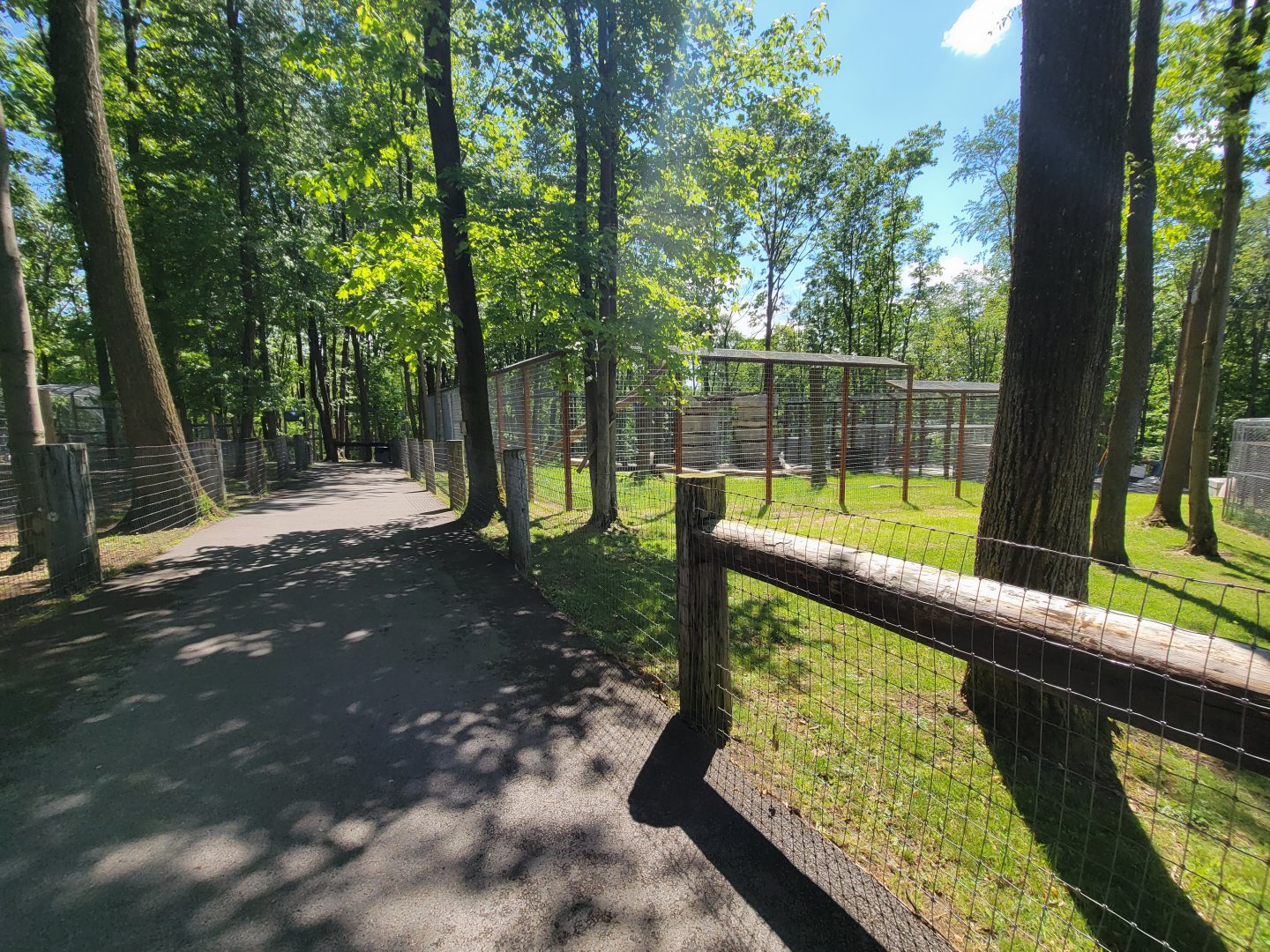 Hovatter's - Path, Kodiak bear