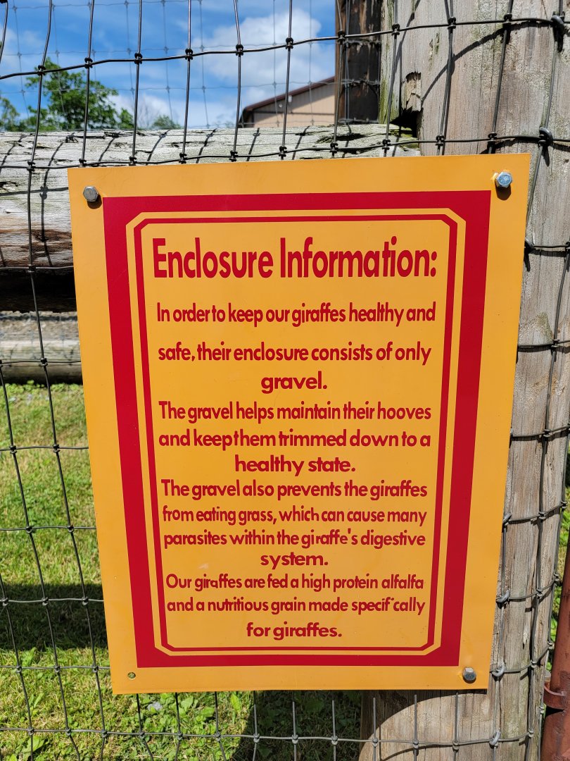 Hovatter's - Sign justifying the giraffes being kept on gravel instead of grass