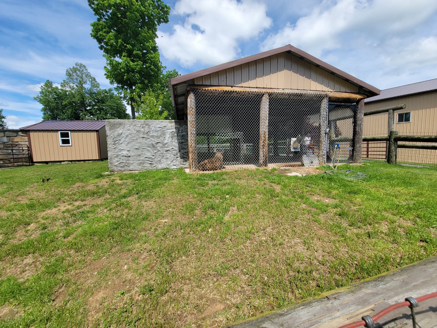 Hovatter's - Spotted hyenas