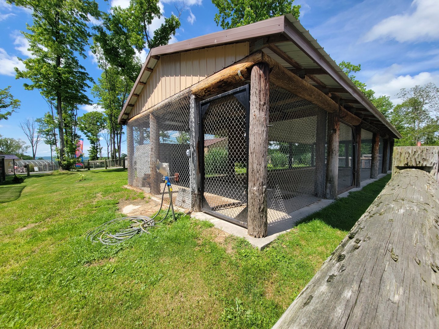 Hovatter's - Spotted hyenas