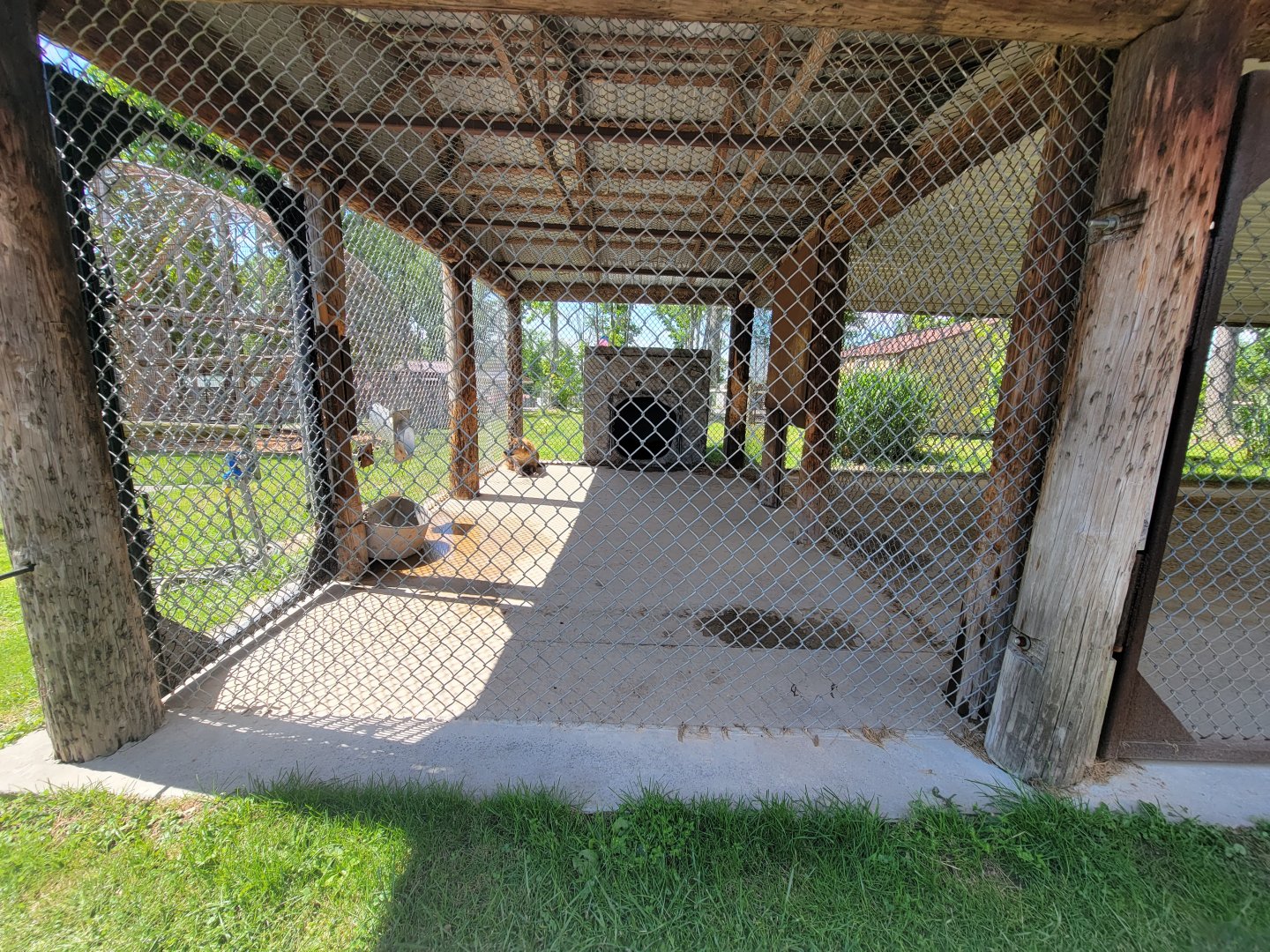 Hovatter's - Spotted hyenas