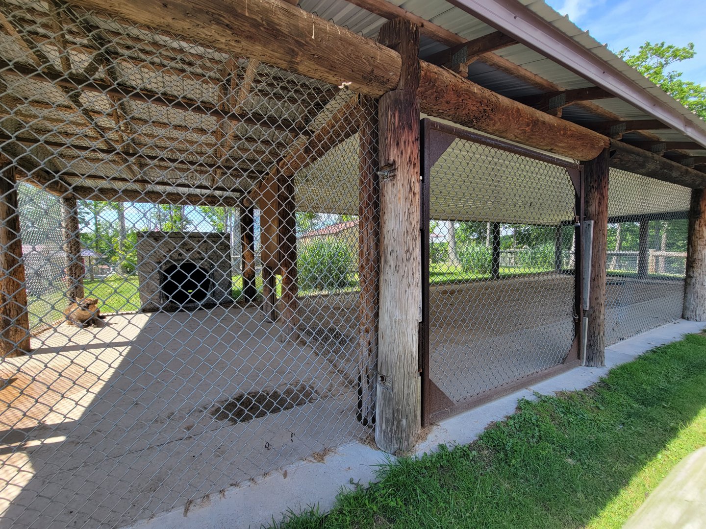 Hovatter's - Spotted hyenas