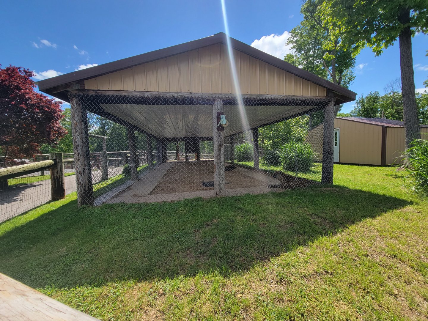 Hovatter's - Spotted hyenas