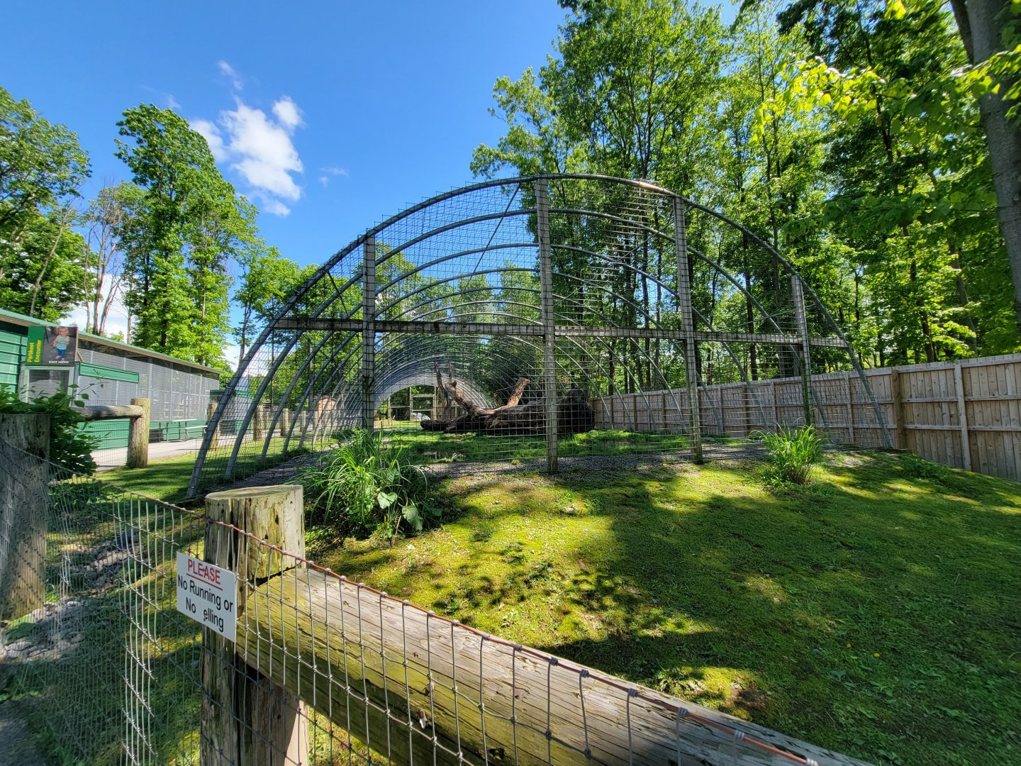 Hovatter's - Tiger (white)