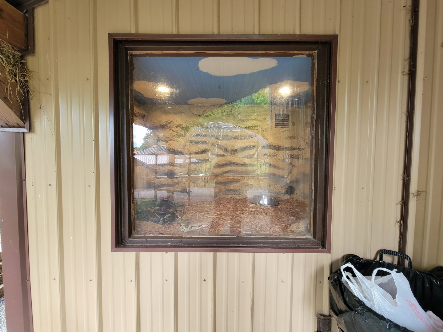 Hovatter's - Unsigned large snake