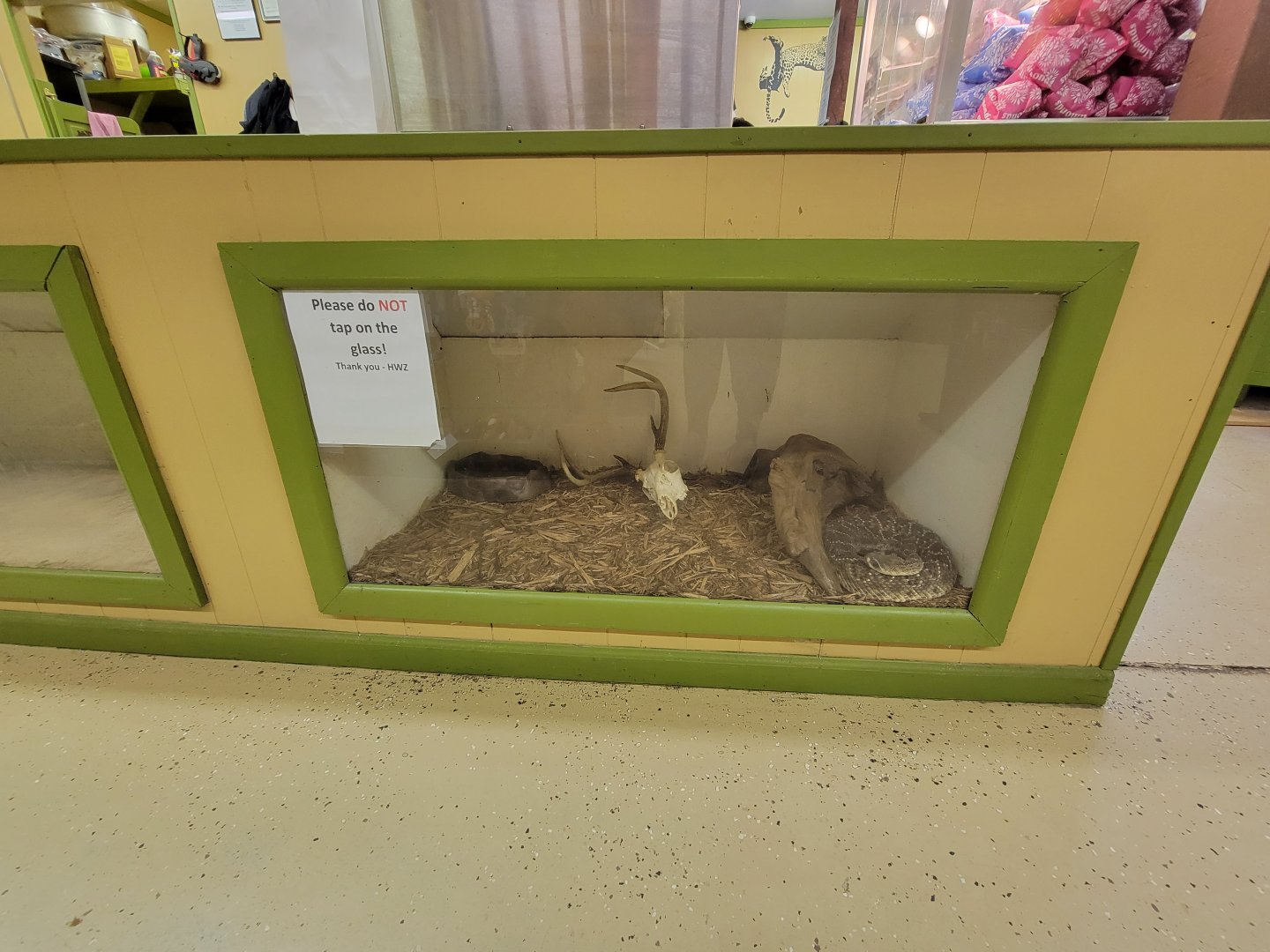 Hovatter's - Unsigned rattler under food counter