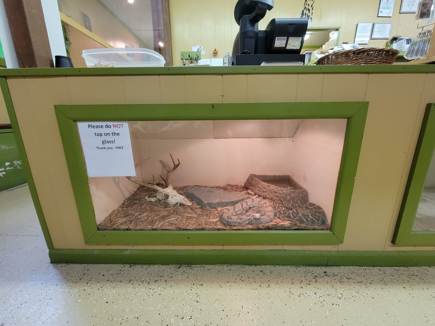 Hovatter's - Unsigned rattlers under food counter