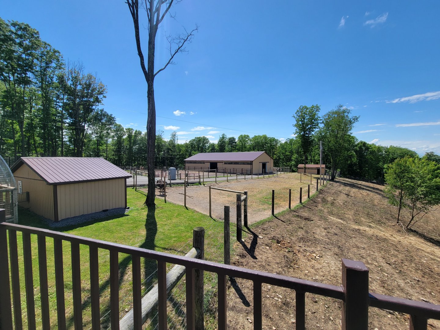 Hovatter's - View of ostriches from elk overlook