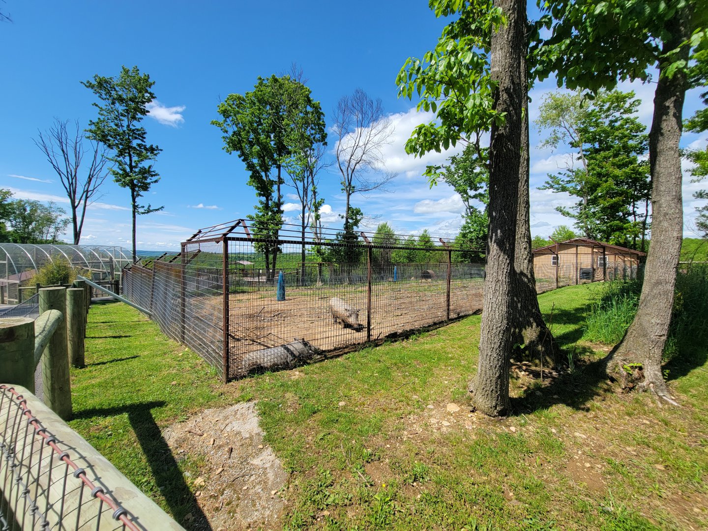 Hovatter's - Warthogs