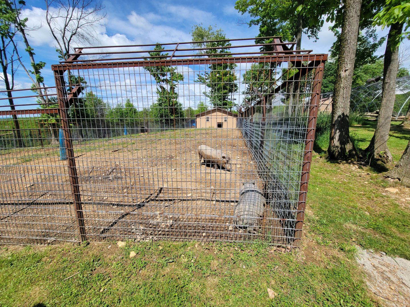 Hovatter's - Warthogs