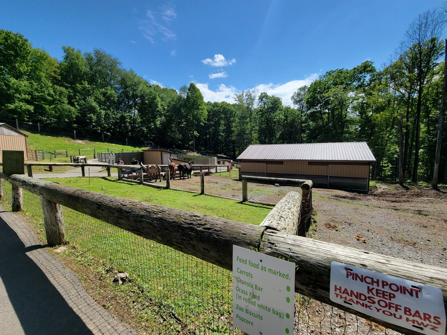 Hovatter's - Watusi, brahma, emu