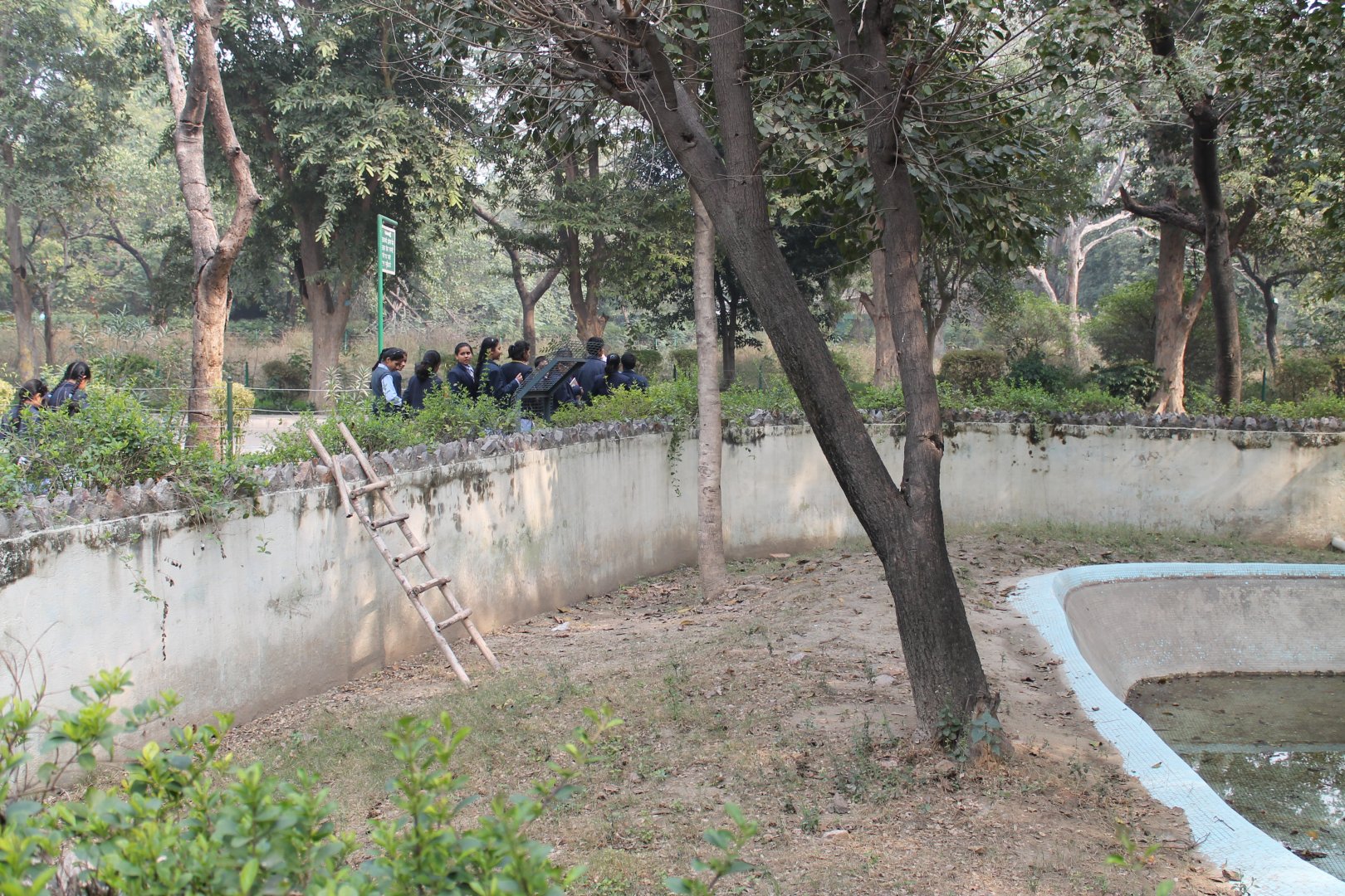 how clever animals escape