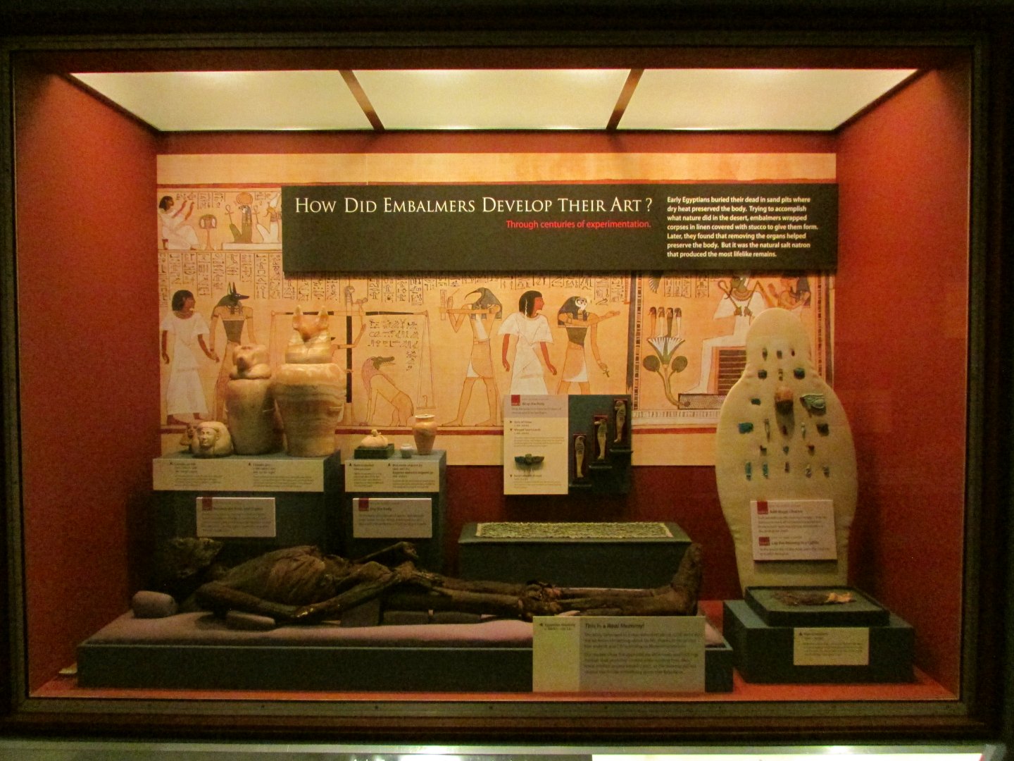 How Did Embalmers Develop Their Art?