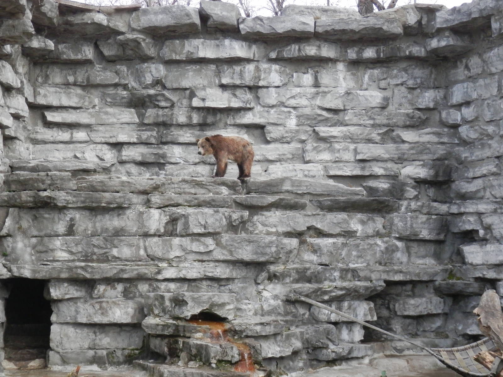 How did I get up here?