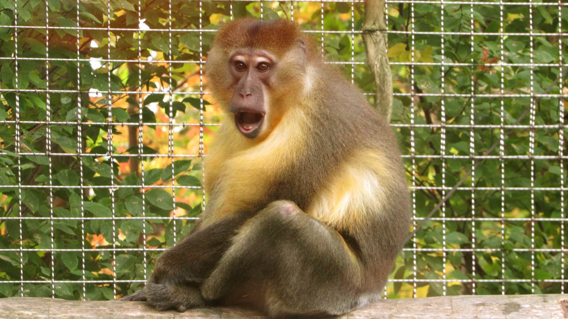 "How Did You Know???"