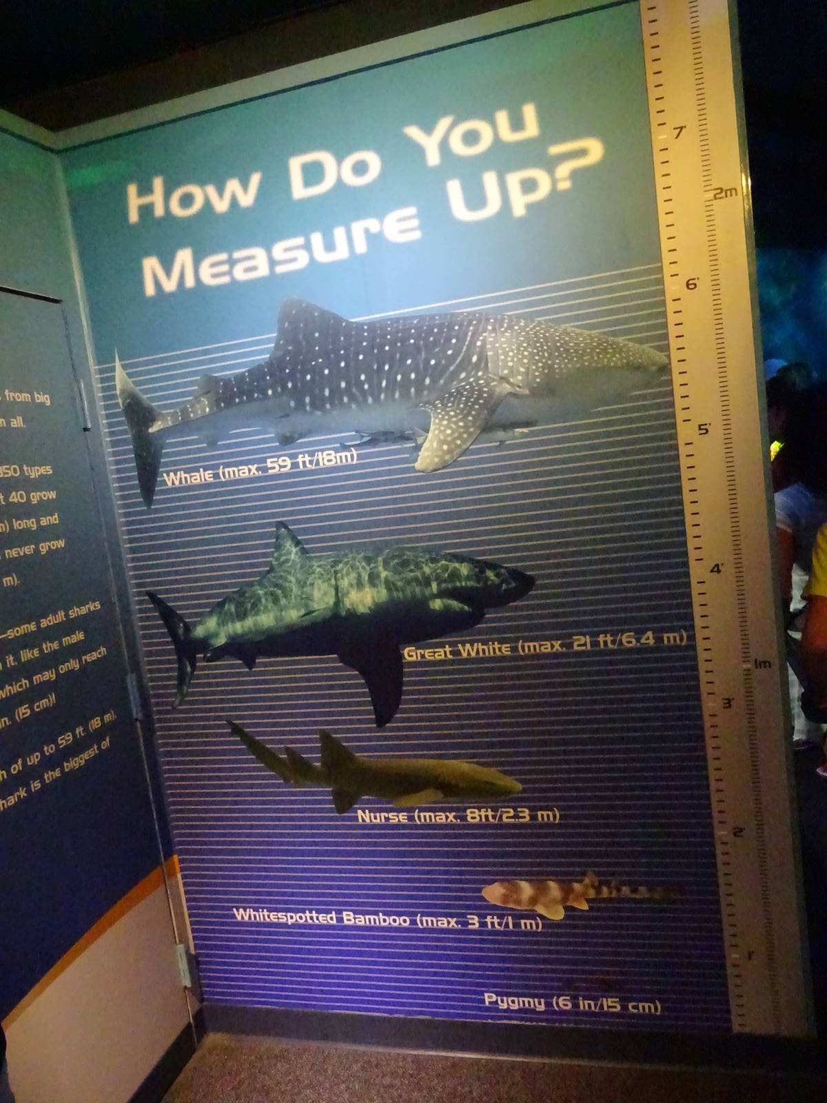 How Do You Measure Up Signage at SeaWorld Orlando
