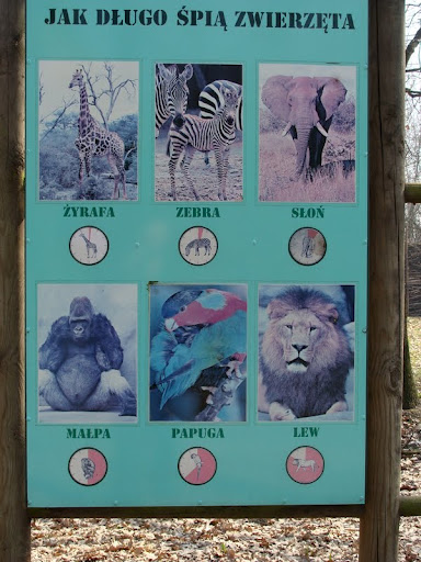 How many animals are sleeping ?